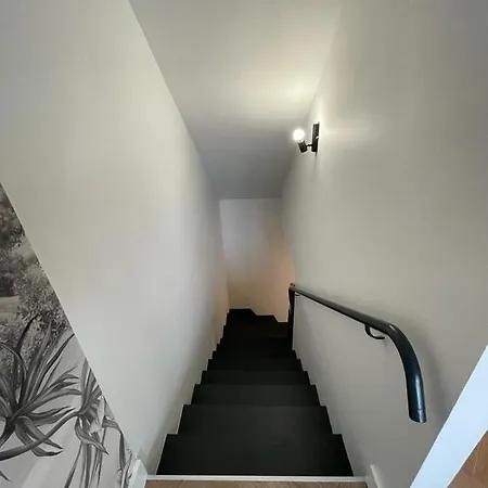 Апартаменты Cosy Avec Vue Imprenable Sur La Cite Каркассон
